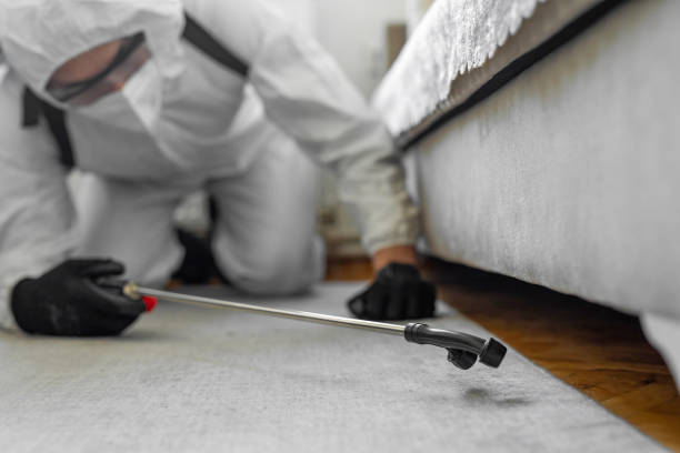 Professional Bed Bug Control technician working in Peru, IN